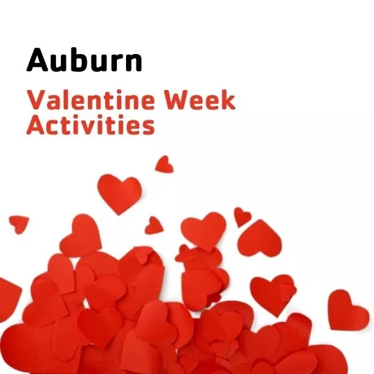 auburn day