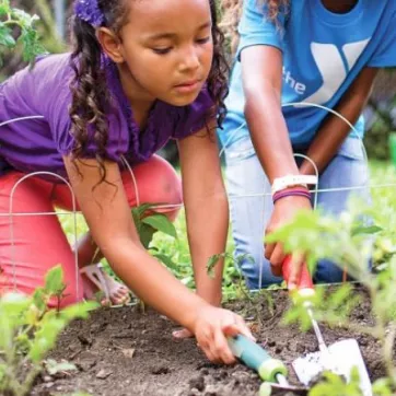 Garden work Image